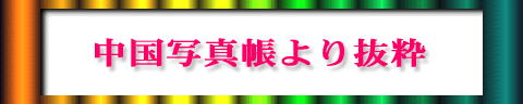 ʐ^蔲